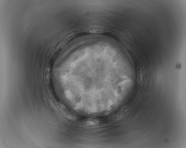 X0000114560263200911161230