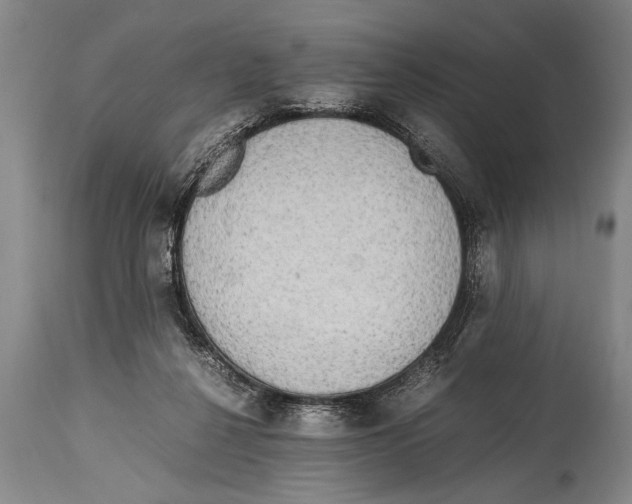 X0000114560264200911161230