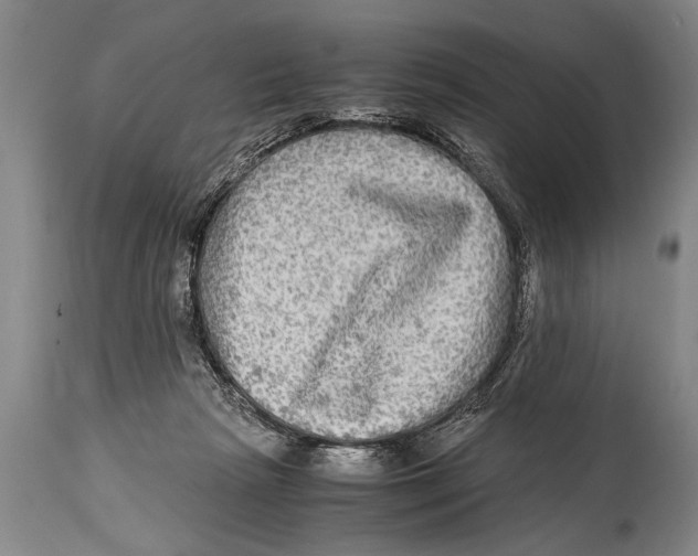 X0000114560265200911161230