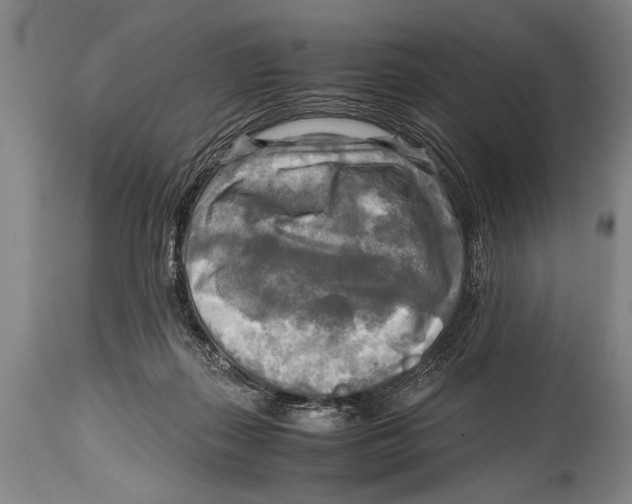 X0000114560267200911161230