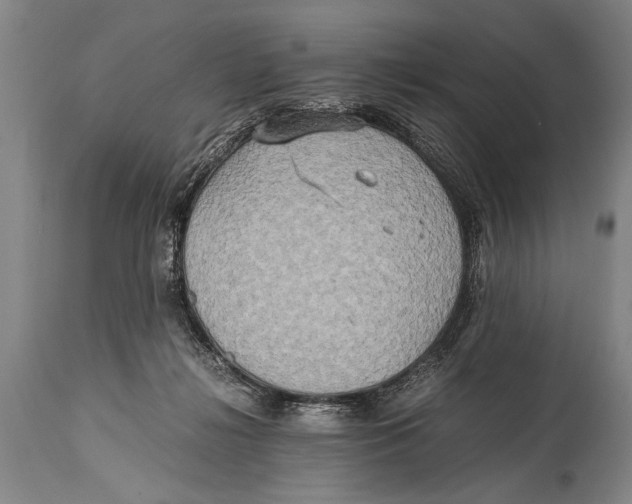 X0000114560268200911161230