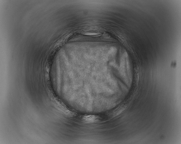 X0000114560269200911161230
