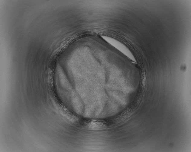 X0000114560270200911161231