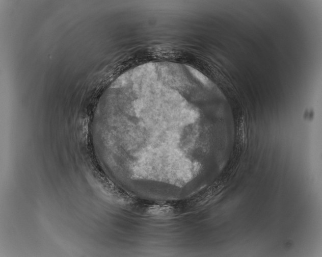 X0000114560271200911161231