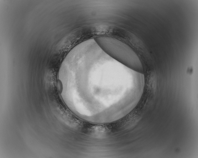 X0000114560272200911161231