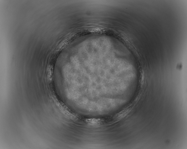 X0000114560273200911161231
