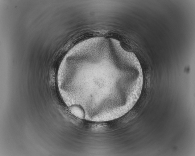 X0000114560274200911161231