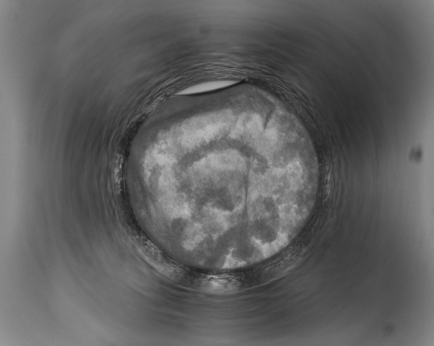 X0000114560275200911161231