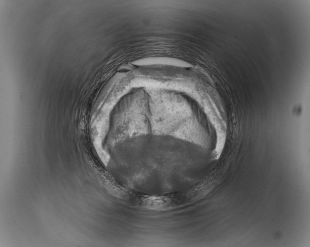 X0000114560277200911161231