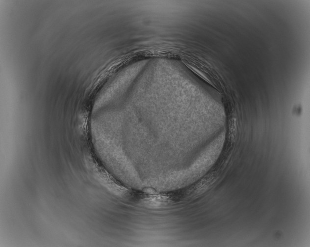 X0000114560278200911161231