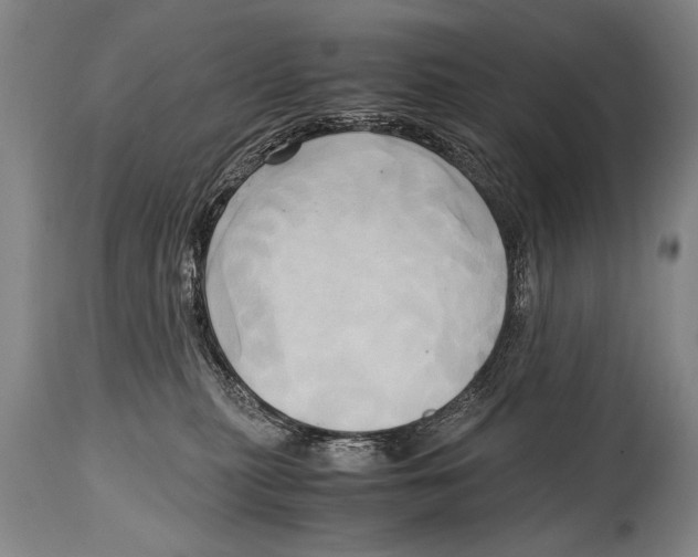X0000114560279200911161231