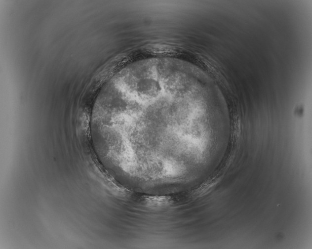 X0000114560281200911161231