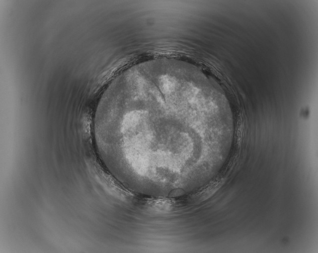 X0000114560282200911161231