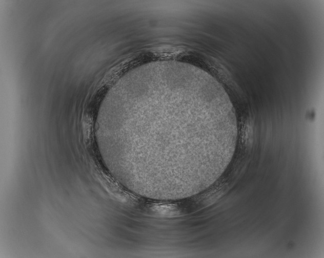 X0000114560283200911161231