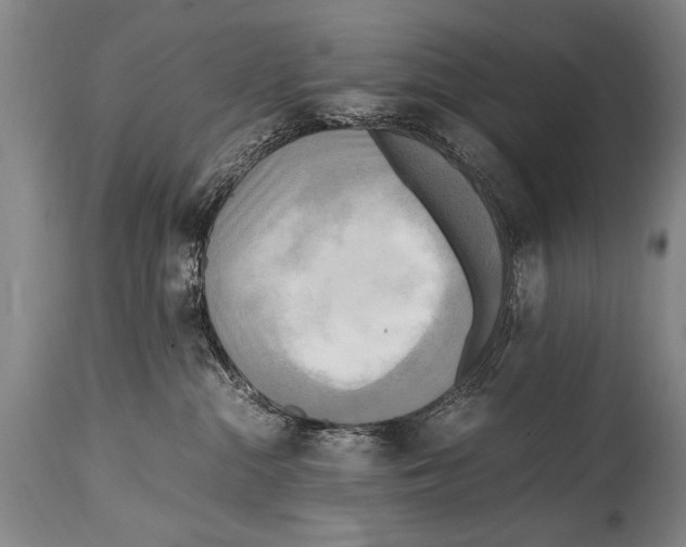 X0000114560284200911161231