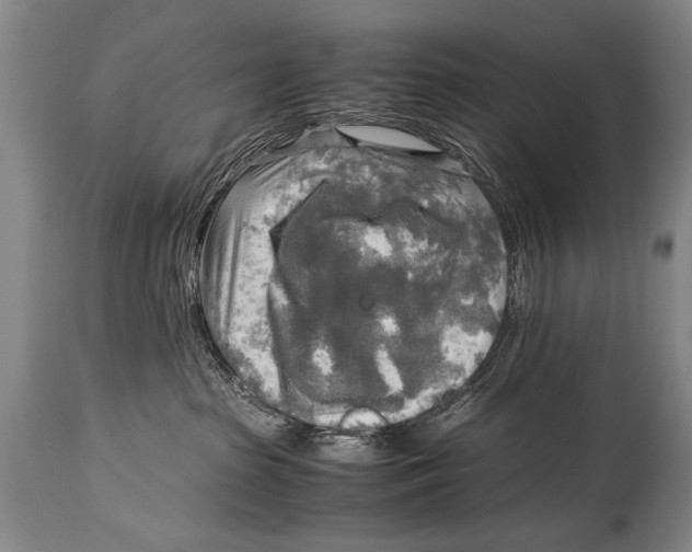X0000114560285200911161231