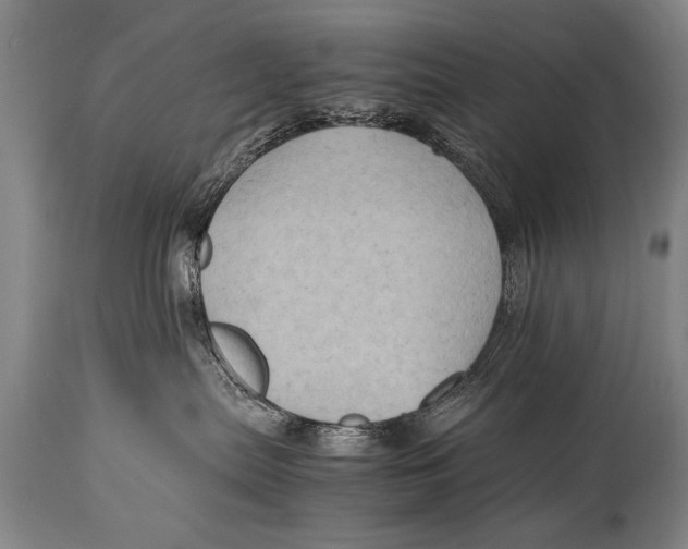 X0000114560287200911161231