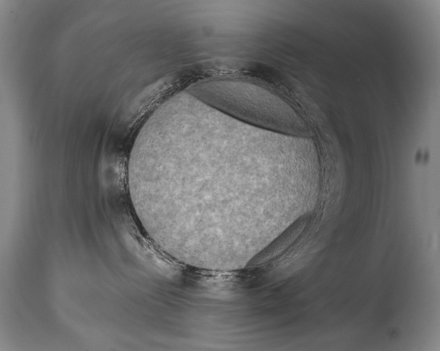 X0000114560288200911161231