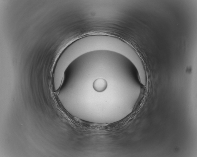 X0000114560289200911161230