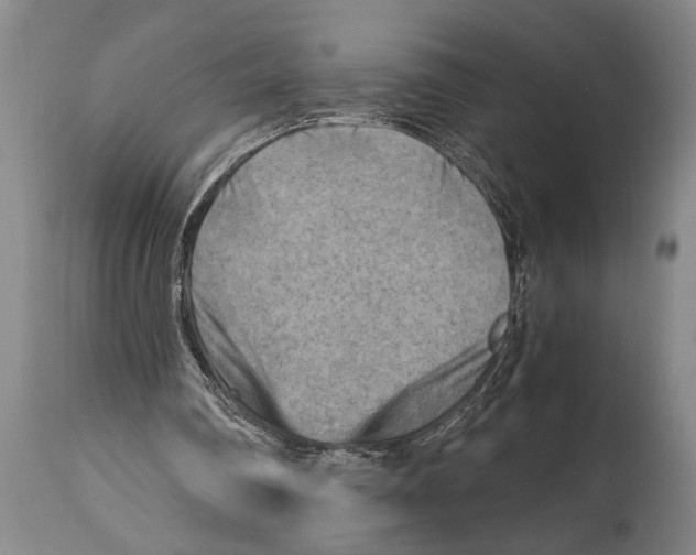 X0000114560290200911161230