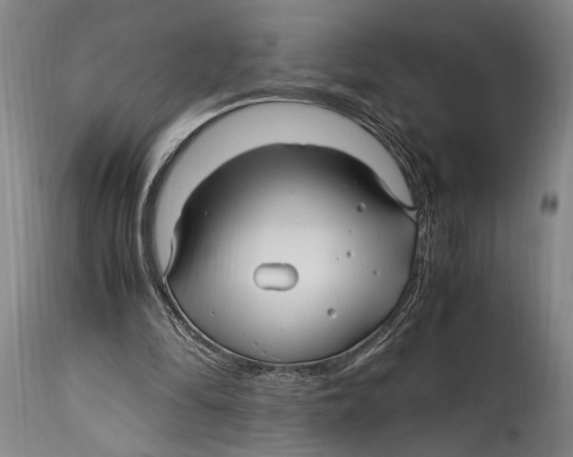 X0000114560294200911161230