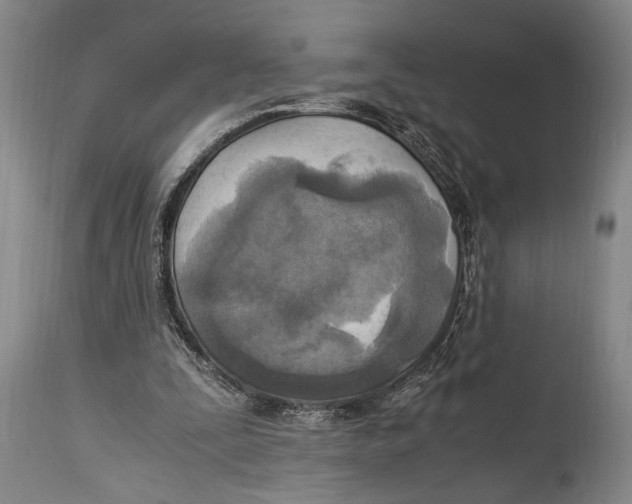 X0000114560295200911161230