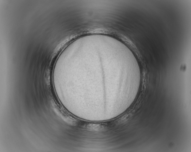 X0000114560298200911161230