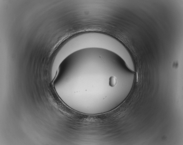 X0000114560300200911161230