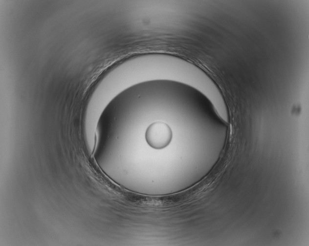 X0000114560301200911161230