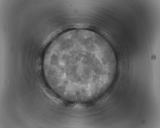 X0000114560303200911161230