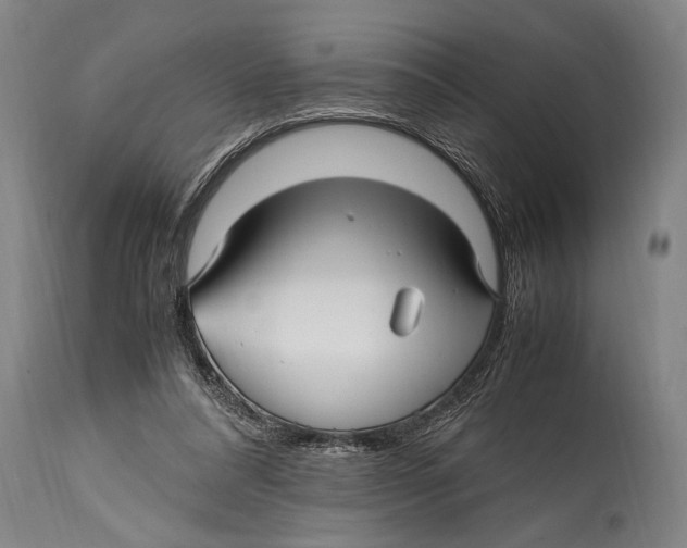 X0000114560304200911161230