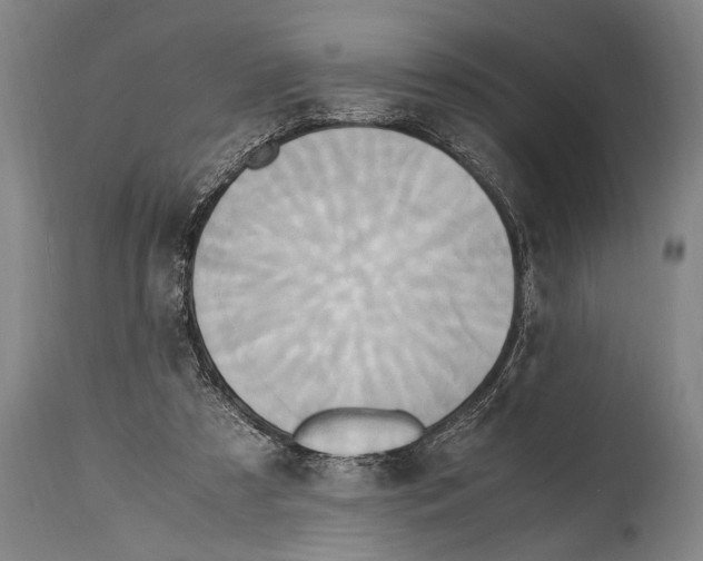 X0000114560305200911161230