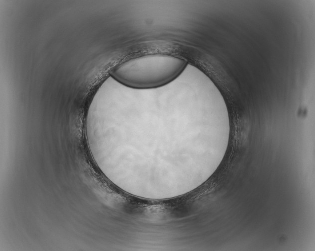 X0000114560309200911161230