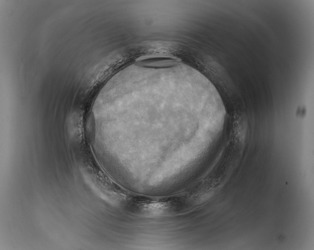 X0000114560312200911161230