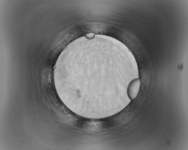 X0000114560313200911161230
