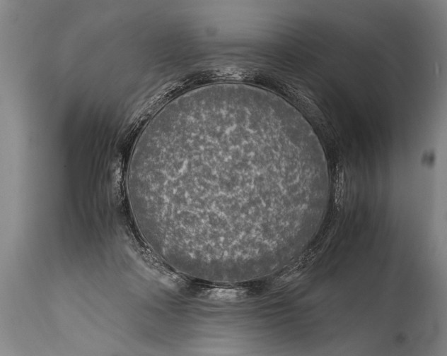 X0000114560314200911161230