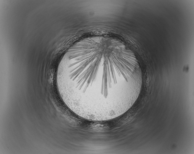 X0000114560315200911161230