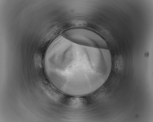 X0000114560316200911161230