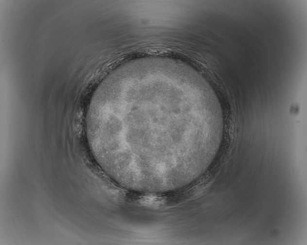 X0000114560319200911161230
