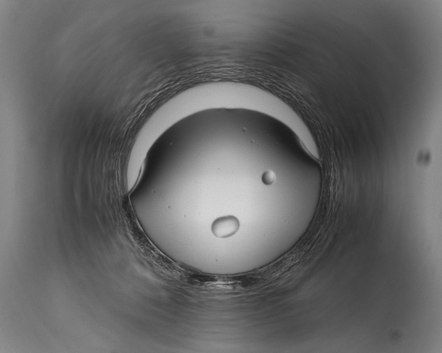 X0000114560320200911161230