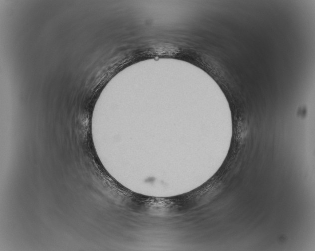 X0000114560321200911161230
