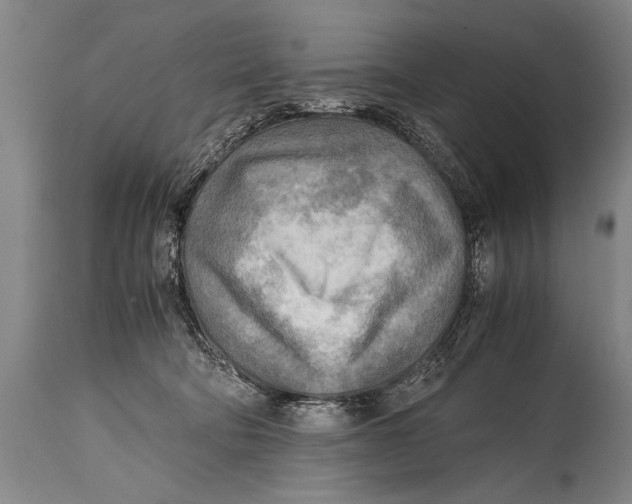 X0000114560322200911161230