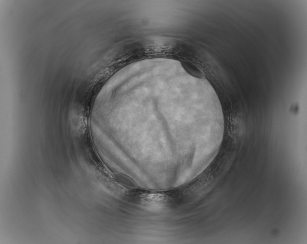 X0000114560324200911161230