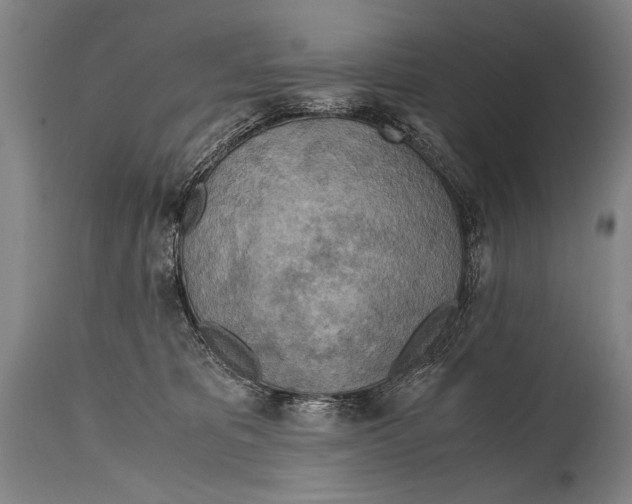X0000114560325200911161230