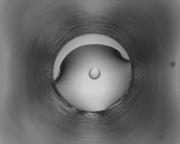 X0000114560328200911161230