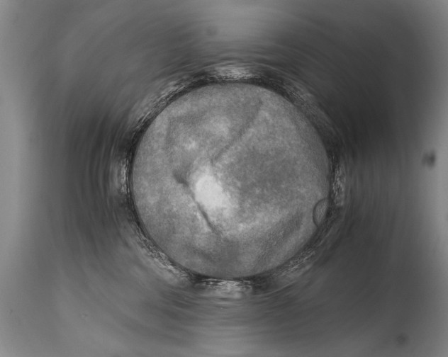 X0000114560330200911161230