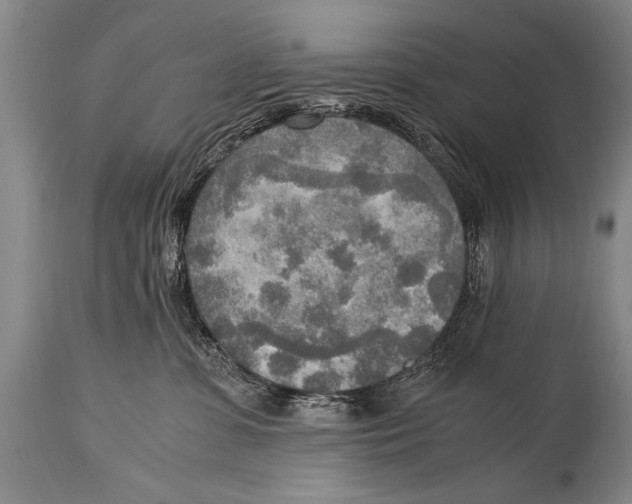 X0000114560331200911161230