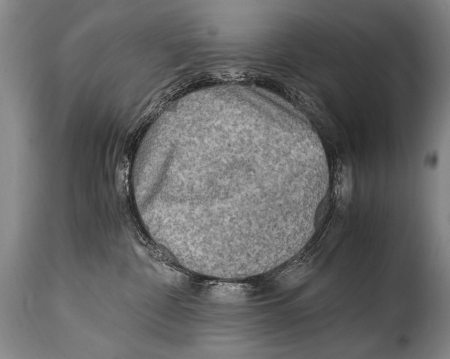 X0000114560332200911161229