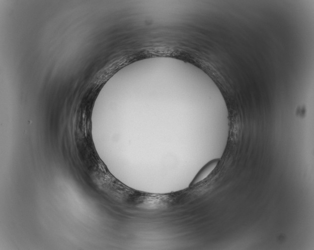 X0000114560334200911161229
