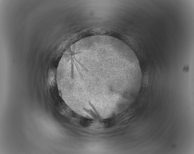 X0000114560335200911161229